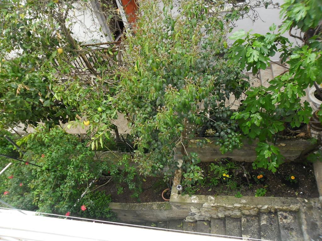 Apartments Jaksa フヴァル エクステリア 写真